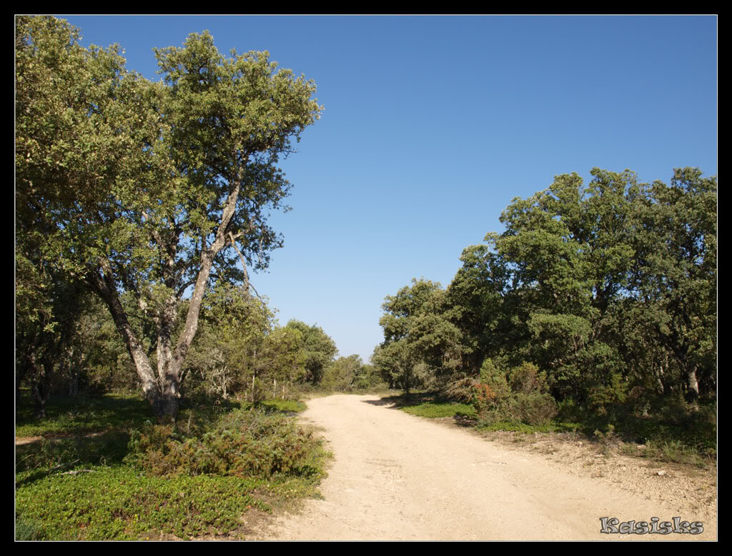 Por Tierras Burgalesas Sendero De Las Grandes Encinas Mendiak